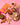 Butter chicken spice mix packet on a pink background with ingredients like tomatoes, garlic, and spices.